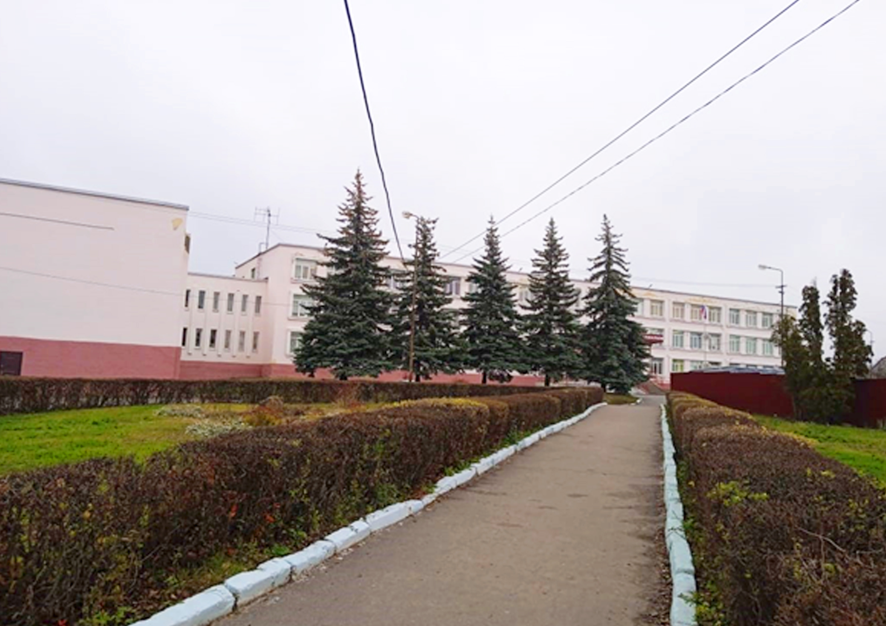 Школа статья